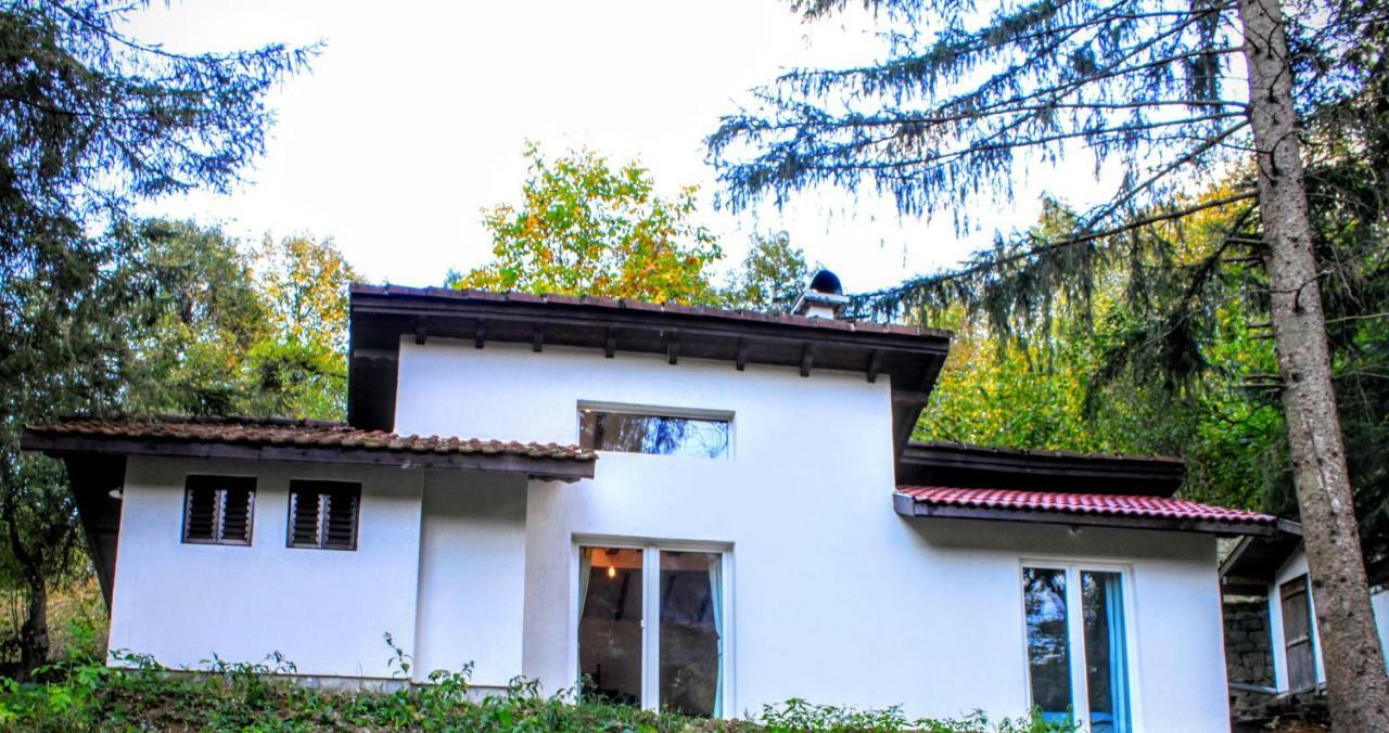 Пе́Трови Вили Ribaritsa Buitenkant foto